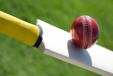 Top ten cricket world cup records