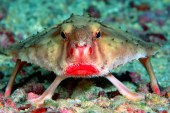 10 amazing facts about nature that will leave you flabbergasted