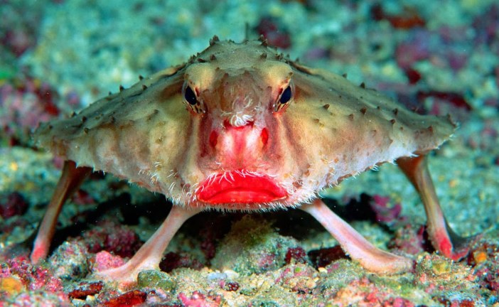 10 amazing facts about nature that will leave you flabbergasted